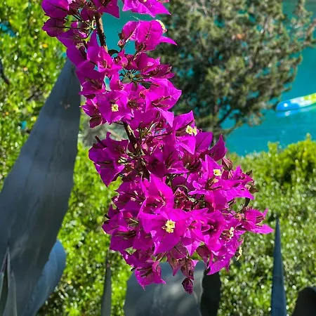 Robinson Ina 1 Semesterbostad *